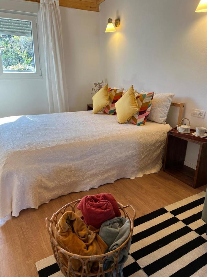 Casa Chano Estudio Confortable Tenerife إيكود ذي لوس فينوس المظهر الخارجي الصورة